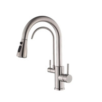 Robinet de cuisine extractible transfrontalier en acier inoxydable brossé, chaud/froid, purificateur d'eau deux-en-un, à consommation directe, céramique simple