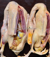 Máquina automática de succión de intestino de pollo Máquina de succión de pulmón de aves de corral al vacío Máquina de limpieza de pulmón de pollo a la venta