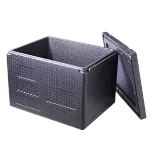 Environmentally Safe and Odor-free EPP customized EPP foldable food cooler box