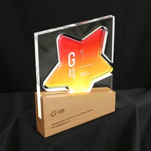 Trofeo Creativo Luminoso in Acrilico e Legno Massello Personalizzato, Targa Commemorativa di Alta Qualità per Premiazioni Annuali e Riconoscimenti al Personale - Product Image 3
