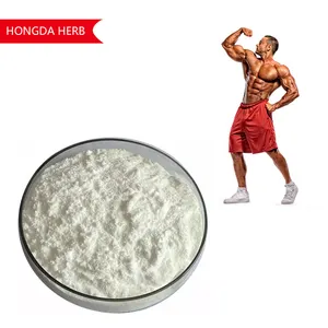 Hongda Customized Packaging Private Label Supplement Pure Creatine Monohydrate Powder 200 Mesh