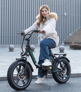 Bicicleta Plegable Alemania Francia 20" 500W 48V 15.6AH de Largo Alcance para Ciudad, Bicicleta Eléctrica con Horquilla de Suspensión y Pantalla LED para Hombres y Mujeres KL6S Plegable - Product Image 1