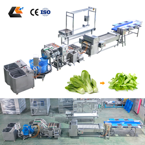 เครื่องหั่นกระเจี๊ยบเขียว ผักกาดหอม และมันฝรั่ง รุ่น Sus 304 พร้อมอุปกรณ์ทำความสะอาดผัก เครื่องล้างผัก และสายการผลิตสำหรับหั่นผัก - Product Image 3