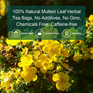 Bolsitas de Té de Hoja de Gordolobo - Limpieza Pulmonar, Apoyo Respiratorio, Mejora la Densidad Ósea, Té Medicinal Herbal Natural Sin Cafeína, 30 Bolsitas - Product Image 3