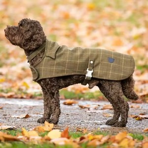 Custom <b>Dog</b> Harness British <b>Dog</b> Autumn Winter Trench Coat British Style Tweed Trench Coat Plaid Woolen Big <b>Clothes</b> <b>Dog</b> Harness - Product Image 3