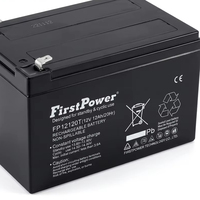 Batería de Almacenamiento de Alta Temperatura FirstPower FP12120T 12V12Ah con Recuperación de Descarga Profunda para Equipos de Monitoreo de Seguridad