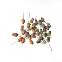 Petites écorces d'acornes artificielles en mousse, noisettes, accessoires de Noël DIY, cônes de pin naturels, décorations de châtaignes
