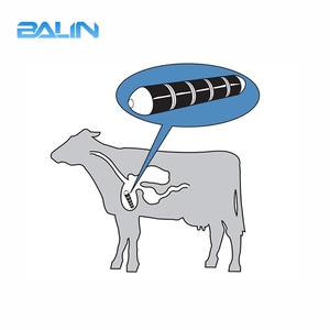 Balin aide à prévenir les maladies du matériel coins ronds aimants <span class=keywords><strong>d</strong></span>'estomac de vache en ferrite en céramique - Product Image 6