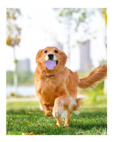 Jouet à mâcher interactif pour chien en caoutchouc de luxe personnalisé, OEM ODM, vente en gros, commande en gros