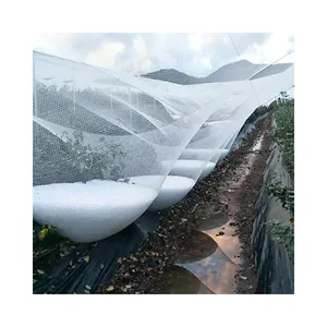 Filet de protection de grêle de pommier de cultures en plastique de HDPE de Vierge anti pour la garde d'agriculture