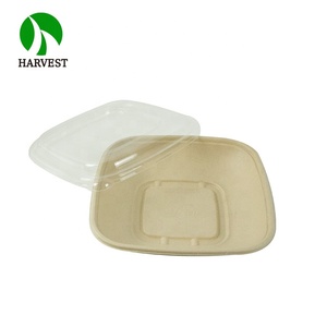 Pâte de papier jetable, pièces, carrée non décolorée, récipient biodégradables pour aliments à emporter - Product Image 2