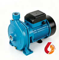 Pompe centrifuge de surface à économie d'énergie 220V monophasée, pompe à eau électrique pour surpression domestique et arrosage de jardin