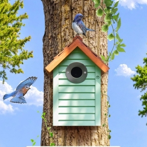 กล่องไม้รังนกสเตนเลส - Product Image 3