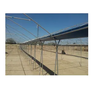 Economical Multi Span Agricultural Greenhouses