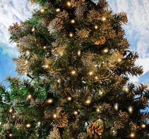Guirlande lumineuse LED conique à large angle de 33' avec 100 lumières blanc froid de 5 mm, mini-lumières de Noël pré-ensassées de 4'' pour la décoration commerciale extérieure - Product Image 4