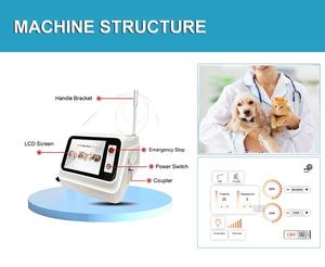 Vet Clinic 10w-30w macchina di fisioterapia Laser classe 4 810nm 980nm per animali domestici riabilitazione rapida chirurgica 200 micrometro fibra - Product Image 2