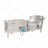 Stekelige Peer Wasmachine Voor Commerciële Productverwerking