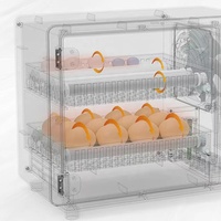 Incubateur automatique JIATAI pour 24 œufs de caille, d'oie et de canard