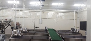 Nhà Máy chế biến dây chuyền sản xuất cá/cá mòi/cá ngừ hoàn chỉnh dòng đóng hộp - Product Image 3