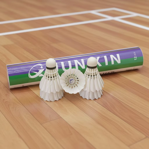 Volants de <span class=keywords><strong>badminton</strong></span> JunXin A022 haut de gamme, plumes de canard toutes performances, volants stables pour entraînement et tournois - Product Image 2