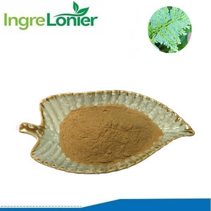Vente en gros de haute qualité CTM SHI SHANG <span class=keywords><strong>BAI</strong></span> Selaginella Doederleinii poudre d'extrait d'herbes au meilleur <span class=keywords><strong>prix</strong></span> - Product Image 2