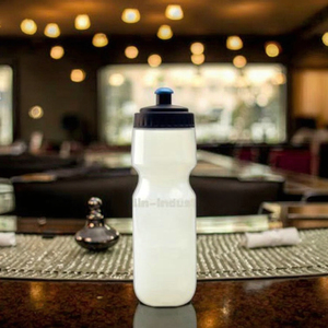 Promotion Wholesale Cheap Plastic Drinking Bottle