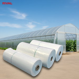 <span class=keywords><strong>Film</strong></span> per Serre Agricole 180mic Resistente ai Raggi UV, Plastica Personalizzata per Serre di Ortaggi e Frutta - Product Image 5