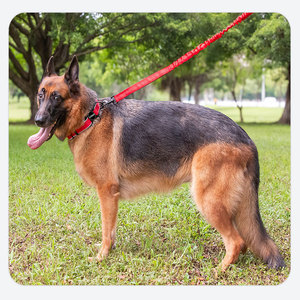<span class=keywords><strong>Collar</strong></span> de perro de alta resistencia Entrega rápida <span class=keywords><strong>Collar</strong></span> de perro reflectante táctico mediano grande de nailon ajustable para todas las razas - Product Image 6