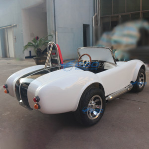 Voiturette électrique biplace de haute qualité, blanche, classique, pour le tourisme, nouvelle énergie, modèle Cobra spécial, transport spécial - Product Image 6