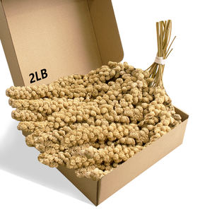 Directo de fábrica que ofrece tallos de mijo natural para pollos, tallos de mijo Premium con beneficios nutricionales, 2LB - Product Image 1