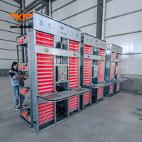 Nueva Jaula Automática Tipo H para Pollos de Engorde con Múltiples Niveles y Acero Galvanizado en Caliente para Avicultura