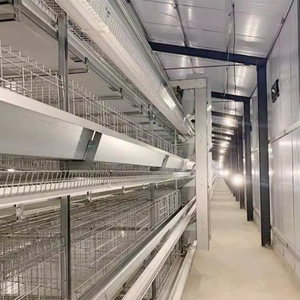 Sistema di Gabbie per Polli in Acciaio Zincato a Caldo Tipo H con Rimozione Automatica del Letame, Capacità 128 Uccelli, Durata 15-20 Anni, Nuovo per Allevamento Avicolo - Product Image 6