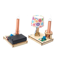 Juguetes de Transmisión de Energía Inalámbrica para Niños, Kit de Modelo de Madera, Experimento Físico, Juguetes Educativos Divertidos STEM