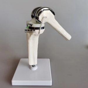 Modèle d'articulation du genou artificielle, modèle artisanal pour l'enseignement médical - Product Image 1