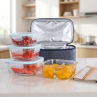 Boîte Alimentaire Réutilisable en Verre Borosilicate avec Couvercles Hermétiques, Ensemble de Préparation de Repas et Bols de Rangement