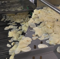 Automatische friteuse voor aardappelchips, capaciteit 500 kg/uur, turnkey oplossing voor de productie van aardappelchips en chips.