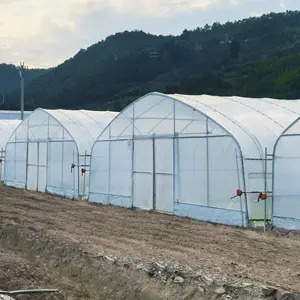 상업 산업 다른 온실 단일 스팬 높은 터널 토마토 플라스틱 농업 온실