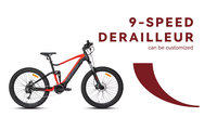 Pour frein à disque hydraulique moteur central 48V E-Mtb Suspension complète descente Bafang M600 500 Watt VTT électrique hommes