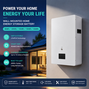 Las Mejores Baterías de Litio de Pared de 51.2V 100Ah 200Ah 300Ah Lifepo4 51.2V para Almacenamiento de Energía en el Hogar, para Inversores Híbridos - Product Image 2