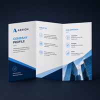 Brochures d'entreprise personnalisées imprimées, manuels de produits tri-pliés, catalogues et dépliants