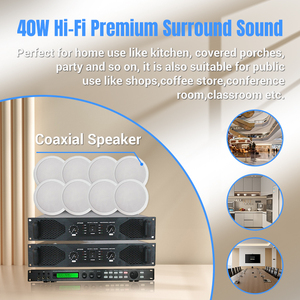 803 4 Inch 8*60W Mới Nhất Trần Không Thấm Nước Loa <span class=keywords><strong>Surround</strong></span> Âm Thanh Bt Với Bộ Khuếch Đại Cho Rạp Hát Tại Nhà Ứng Dụng Âm Thanh - Product Image 3