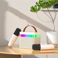 Enceinte sans fil karaoké K13 avec microphone, enceinte de fête, système de karaoké extérieur Ktv