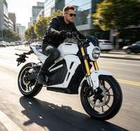 Electric Motorcycle Dual Disc Brake Anti Slip Tire Comfortable Riding High Speed Racing Electric Motorbike