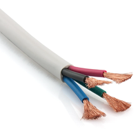 Câble pour enceint mural Home Cinéma Ultra Premium - 4 conducteurs 12AWG - Rouleau de 250 pieds/100 m/personnalisé, Cuivre pur