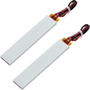 Élément Chauffant PTC 100*21*5mm pour Système d'Incubation 220V/12V – Panneau Chauffant PTC pour Incubateur - Product Image 1