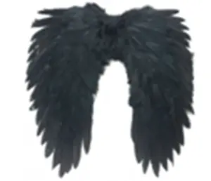 All'ingrosso più economico alla rinfusa bianco angelo costume più grande ali di piume di carnevale nero fantasia 50cm rosso ali d'angelo per la vendita di halloween