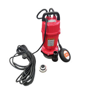 Promotion <span class=keywords><strong>Pompe</strong></span> Submersible QDX 1 CV, <span class=keywords><strong>Pompe</strong></span> à Eau Électrique 1 CV, <span class=keywords><strong>Pompe</strong></span> <span class=keywords><strong>Immergée</strong></span> <span class=keywords><strong>avec</strong></span> Interrupteur à Flotteur - Product Image 3