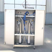 Machine de remplissage verticale automatique à double tête 1L 5L pour huile d'olive, miel, eau, bière, lait, thé en bouteilles plastiques et en verre