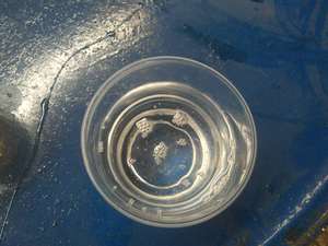 EPDM PU Chất Kết Dính Cao Su Chất Lỏng Dính Keo <span class=keywords><strong>Polyurethane</strong></span> Nhựa Cho Trẻ Em 'Sân Chơi & Chạy Theo Dõi FN-I-24122003 - Product Image 5