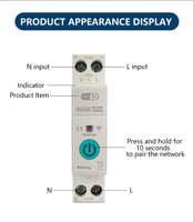 Interrupteur intelligent Wi-Fi réglable Tuya Smart Life 1-63A avec minuterie et protection contre les surcharges